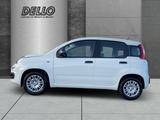 Fiat Panda Gewerbeleasing Klimaanlage Parkpilot ZV - Fiat Panda Neuwagen