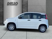 Fiat Panda - Vorschau Bild 2