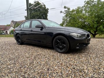 BMW 316 - 11