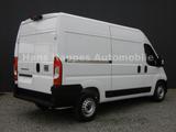 Fiat Ducato 35 L2H2 180 Navi Kamera hydr. Fahrersitz - Fiat Ducato in Mannheim