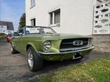 Ford Mustang Cabrio V8 Automatik - Ford Mustang aus 1967 mit Benzin-Antrieb: Cabrio