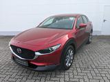 Mazda CX-30 2.0l Skyactiv-X Exclusive Bose Matrix-LED  - rote Mazda CX-30