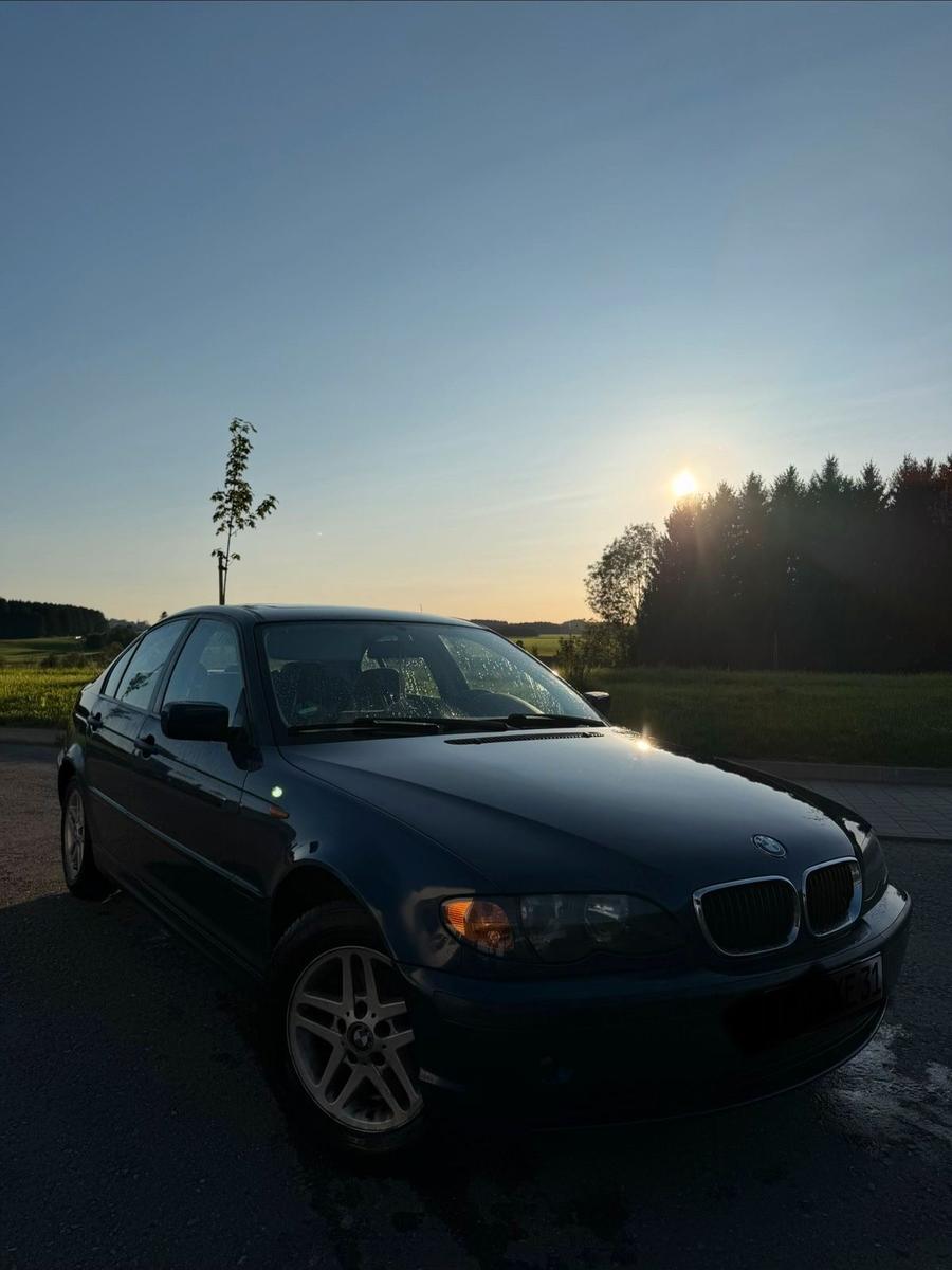 BMW 316
