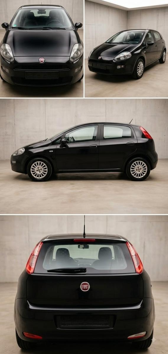 Fiat Punto More
