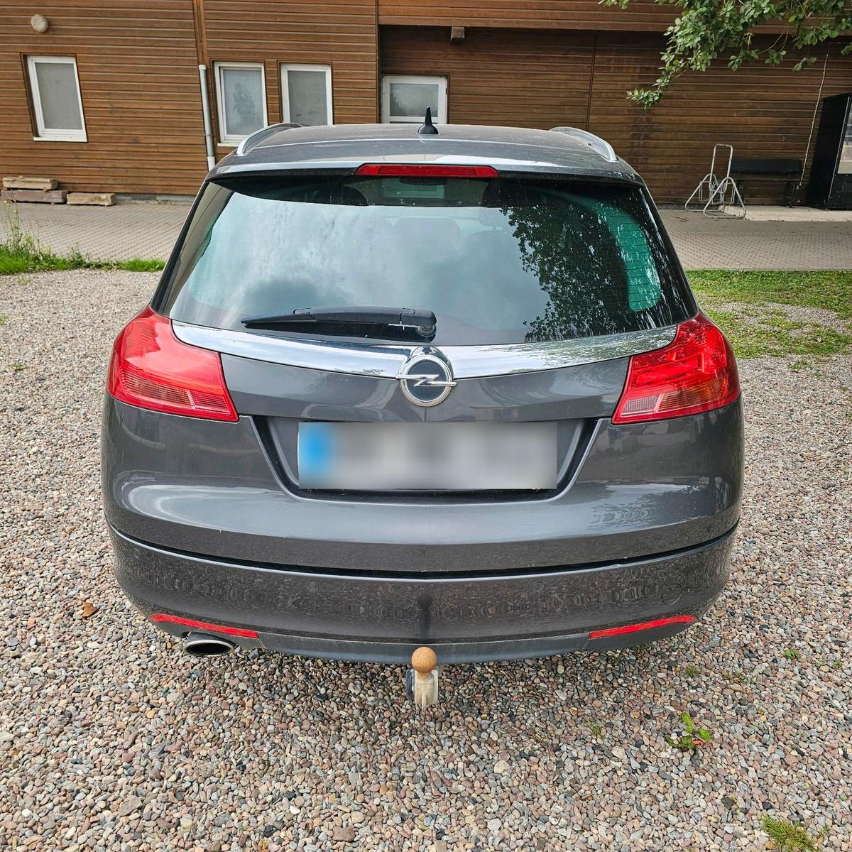 Opel Insignia 2010 — rear view
