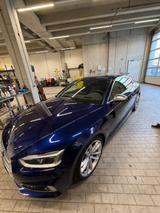 Audi S5 3.0 TFSI tiptronic quattro - - Audi S5 mit Benzin-Antrieb: Leder, Sportwagen