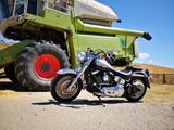 Harley-Davidson Fat Boy - HARLEY-DAVIDSON 2003 FAT BOY