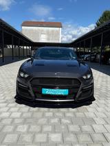 Ford Mustang GT 5.0  l Dig.Shelby Optik - Ford Mustang: Shelby