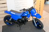 Yamaha PW 50 neues Modell, Versand möglich - YAMAHA PW 50