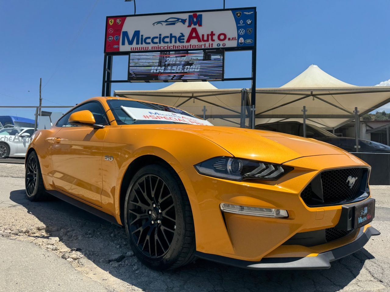 Ford FORD MUSTANG 5.0 GT V8 450 CV MANUALE FULL IVA