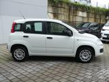Fiat Panda EASY 1.2 8V 69PS KLIMA RADIO  ALLWETTER - Fiat Panda: Easy