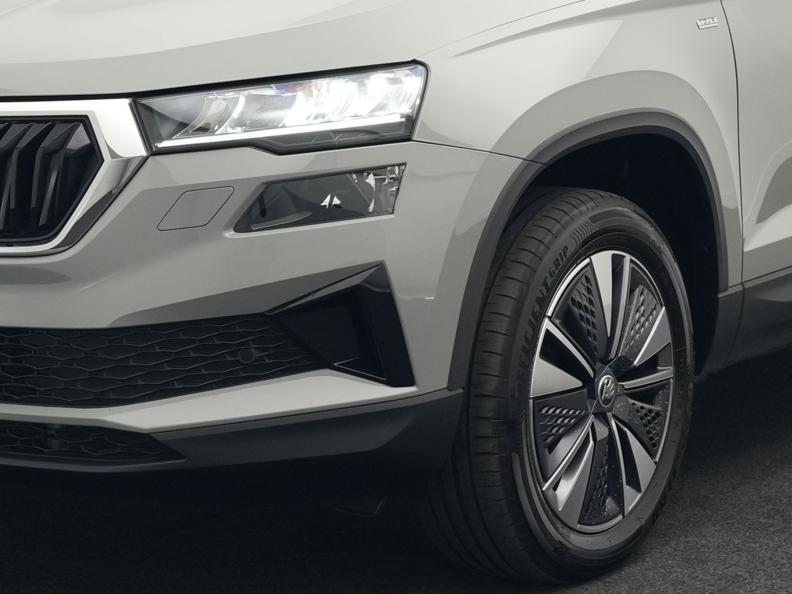 Skoda Karoq - Bild 22