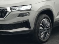 Skoda Karoq - Vorschau Bild 22