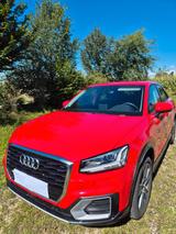 Audi Q2 35 TFSI S tronic - - rote Audi Q2
