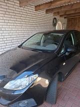 Seat Ibiza Copa 1,2 - Seat Ibiza aus 2011: Copa
