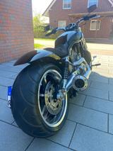 Harley-Davidson V-Rod Muscle 2009  - HARLEY-DAVIDSON V ROD MUSCLE