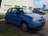 Volkswagen Lupo 1.0 BASIS Basis - Volkswagen Lupo: Blau
