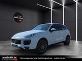 Porsche Cayenne Diesel Platinum Edition*PANO*KAMERA*AHK* - gebrauchte Porsche Cayenne aus dem Jahr 2018