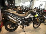 Triumph Tiger 900 Rally Pro, sofort verfügbar - TRIUMPH NEU