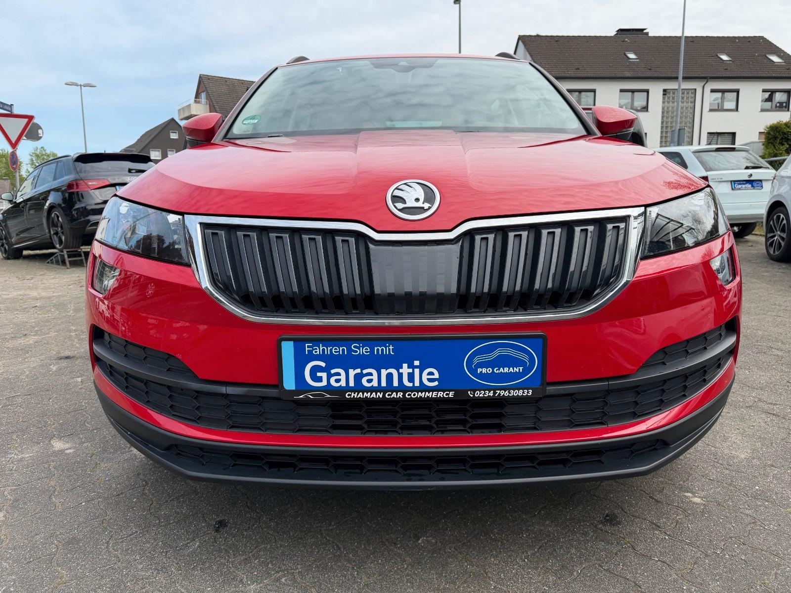Skoda Karoq Ambition RUBBER RITA SCHADEN