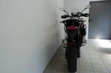 Triumph Tiger 900 Rally Pro *GARANTIE*1-HAND - Offers
