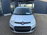 Fiat Panda 1.2 Pop - Fiat Panda: Pop