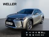 Lexus UX 250h Style Edition *AHK*Bi-LED*CAM*SHZ*CarPla - Lexus Gebrauchtwagen in Leipzig