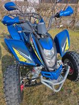 Shineray XY200ST-9 - Quads bis 2.000 Euro