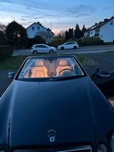 Mercedes-Benz Mercedes CLK 230 Evolution Final Edition M... - Mercedes-Benz CLK 230 aus 2003