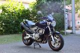 Honda Hornet CB 600 F + Viel Zubehör - HONDA 2003 HORNET 600