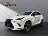Lexus NX 350h Style Edition*1-HAND*UNFALLFREI* - Lexus aus 2021