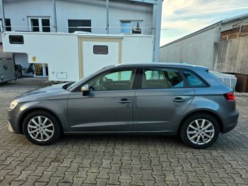 Audi A3 - 8