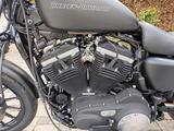 Harley-Davidson XL 883 Iron - Offers