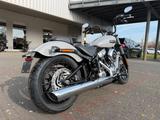 Harley-Davidson FXBB Softail Street Bob 117 sofort verfügbar - NEU CHOPPER