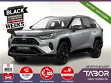 Toyota RAV4 2.5 Hybrid 218 Style LED 19Z eHK ACC Kam - Toyota RAV 4 in Freiburg