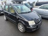 Fiat Panda 1.2 8V Novitec Dynamic / Klima - gebrauchte Fiat Panda aus dem Jahr 2005