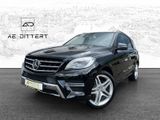 Mercedes-Benz ML 350 CDI Amg Line+Standheizung+Harman+Sch+dach