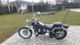 Harley-Davidson FXSTS Softail Springer - HARLEY-DAVIDSON FXSTS