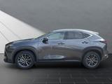 Lexus NX 350h h 243 PS ** 15 Jahre Gar antie ** Sitzkl - graue Lexus NX 350h