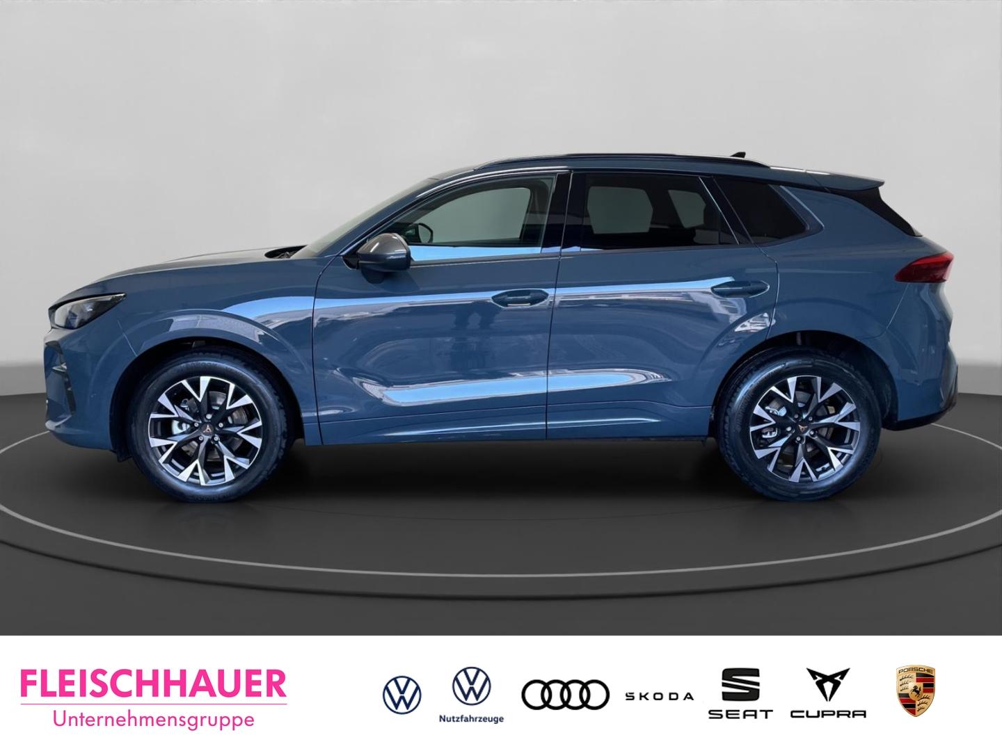 Cupra Terramar 1.5 eTSI AHK eHeck Navi Kamera Matrix