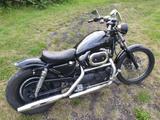 Harley-Davidson Sportster 883 XL1