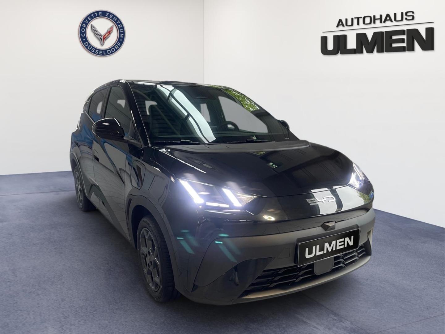 BYD Dolphin Surf 115KW Comfort Leder Navi Sitzheizun