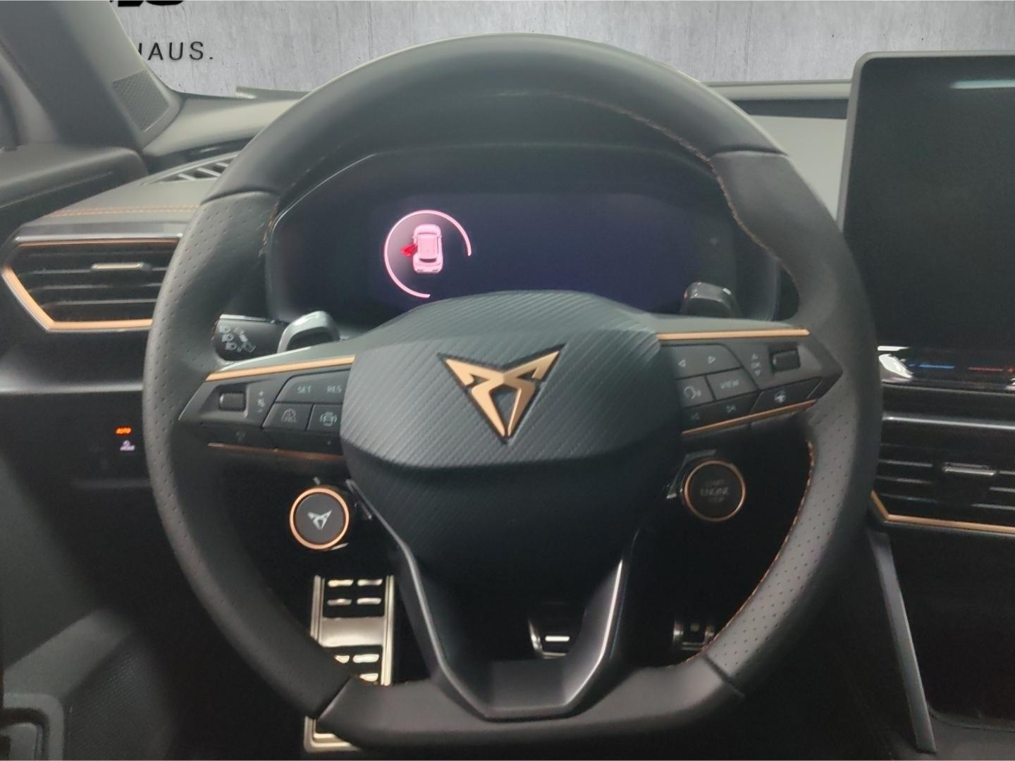 Cupra Formentor VZ 2.0 TSI 195 kW (265 PS) 7-Gang-DSG, миниатюра 13