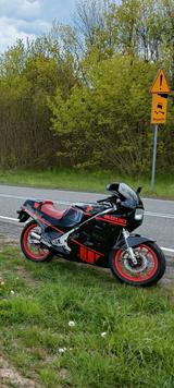 Suzuki RG 250 1986 - SPORTLER VON 126 BIS 250 CCM