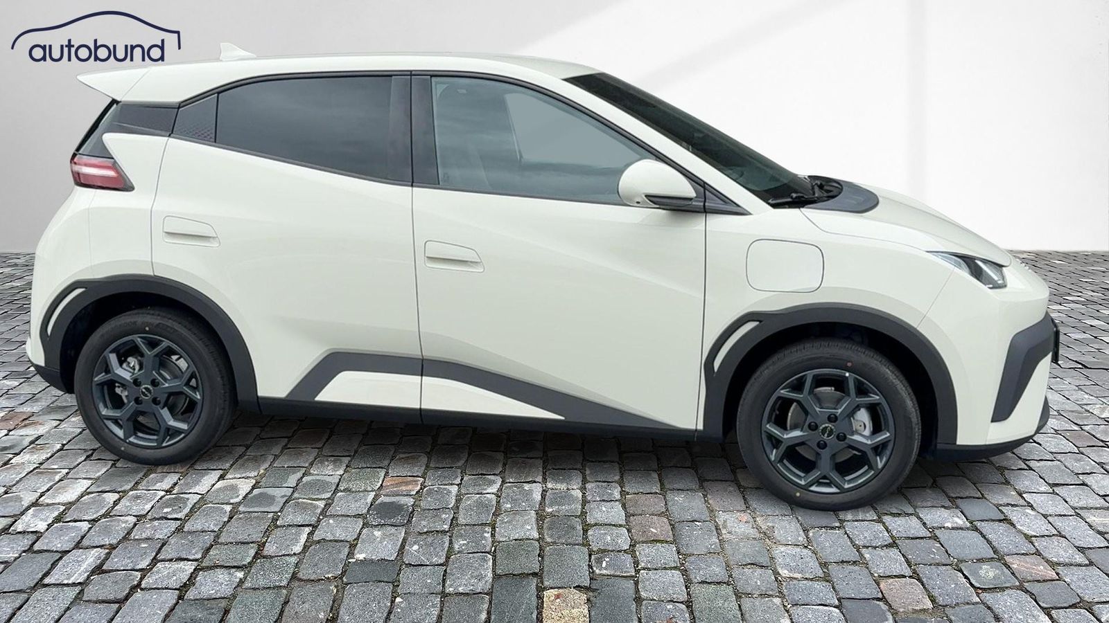 BYD DOLPHIN SURF
