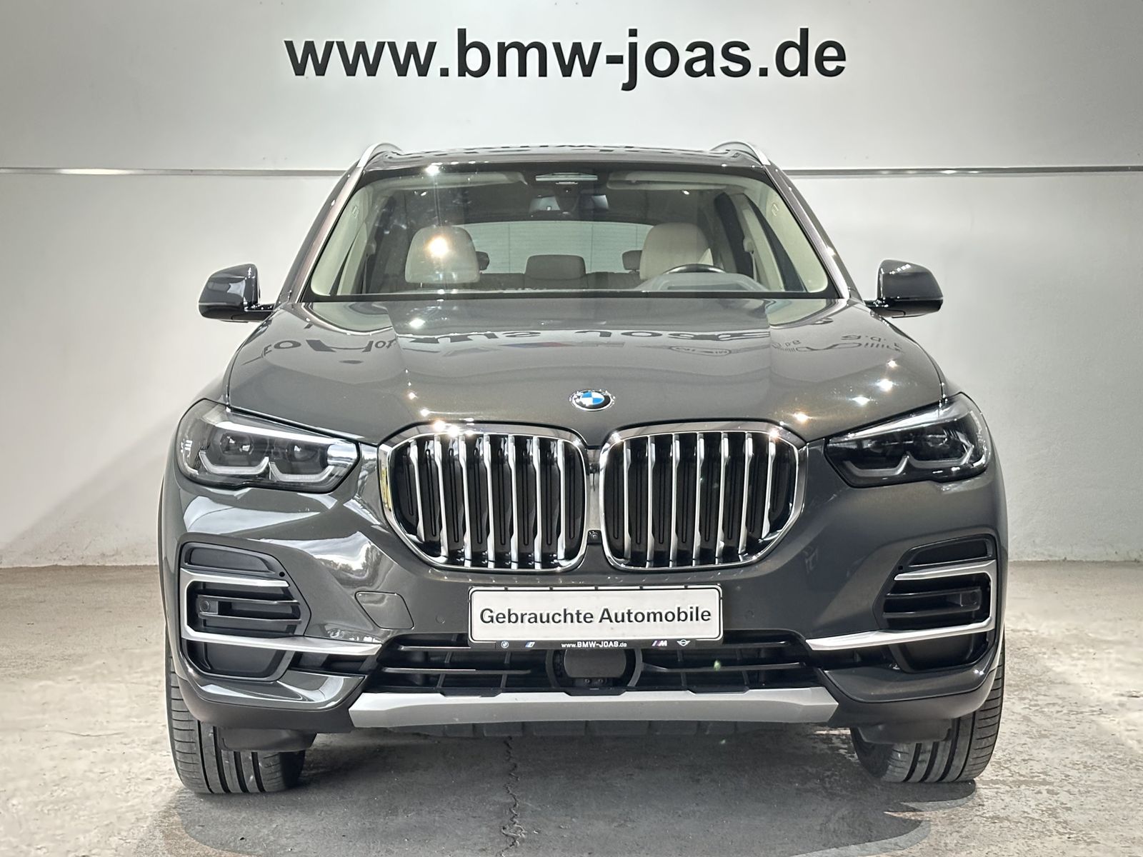 Fahrzeugabbildung BMW X5 xDrive30d Gestiksteuerung Head-Up Panoramagla