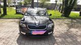 Skoda Octavia 1.6 TDI Green tec Active Combi Active - Skoda Octavia mit Diesel-Antrieb: Active