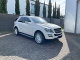 Mercedes-Benz ML 450 CDI 4MATIC Grand Edition Grand Edition - Mercedes-Benz ML 450 Gebrauchtwagen