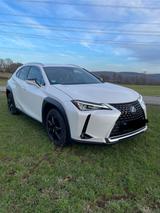 Lexus UX 250h Amazing Edition Amazing Edition - gebrauchte Lexus Pickups
