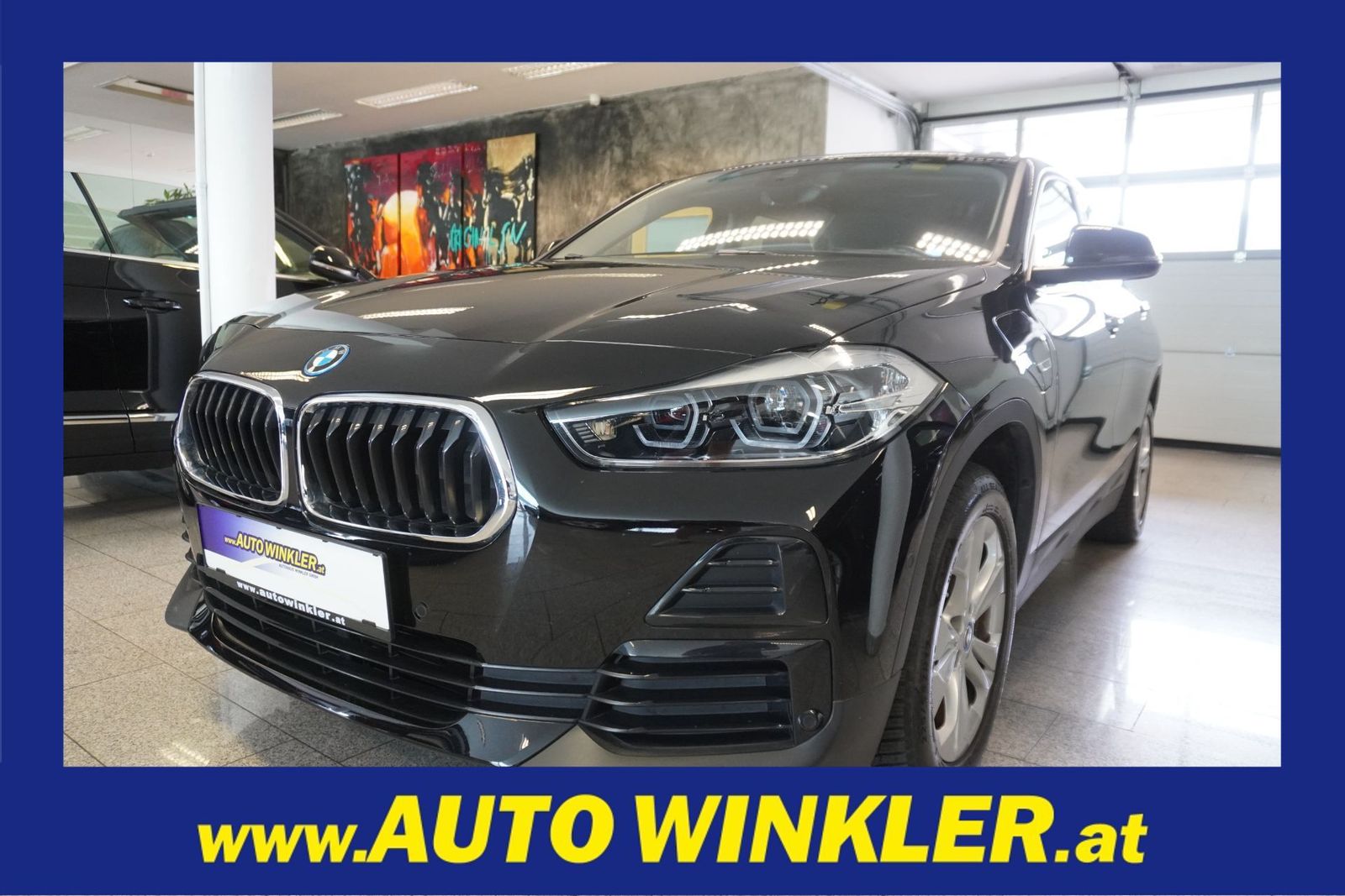 BMW X2 xDrive25e PHEV Aut.LED/Navi